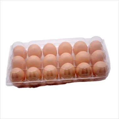 productcate-378-378 Egg Tray